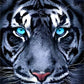 Tiger Face 5D DIY Diamond Painting