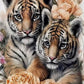 Tigers & Rose Diamond Painting