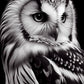 White Black Owl Diamond Painting