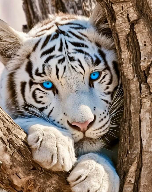 White Tiger On Branch Diamond Painting