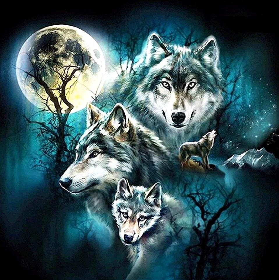 DIY Night Wolves 5D Mosaic embroidery kits