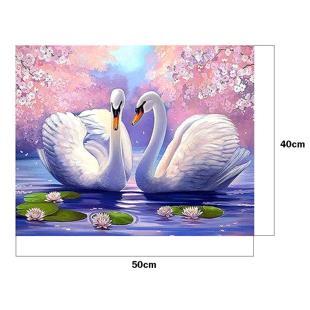 Pintura por Número - Pintura al Óleo - Cisne (50*40cm)