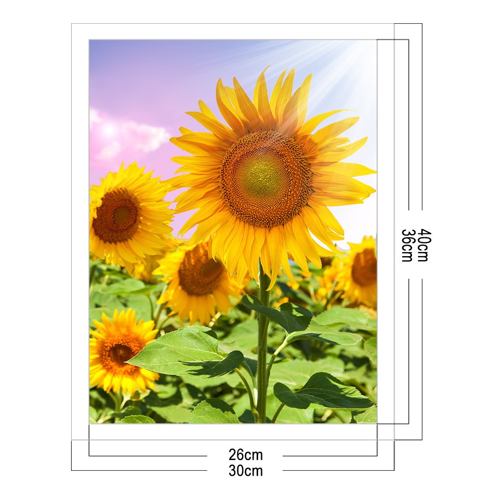 Punto de Cruz Estampado 11ct - Girasol (30*40cm) A