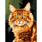 DIY Fierce Cat Hand Painted Canvas Oil Art Picture Craft Home Wall