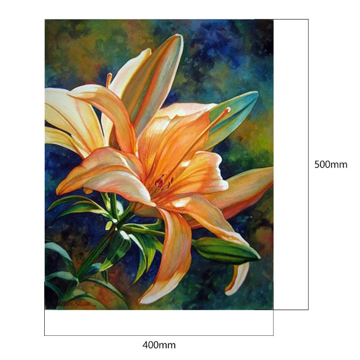 Special Flower 40x50cm Oil Paint By Numbers Picture DIY Painting