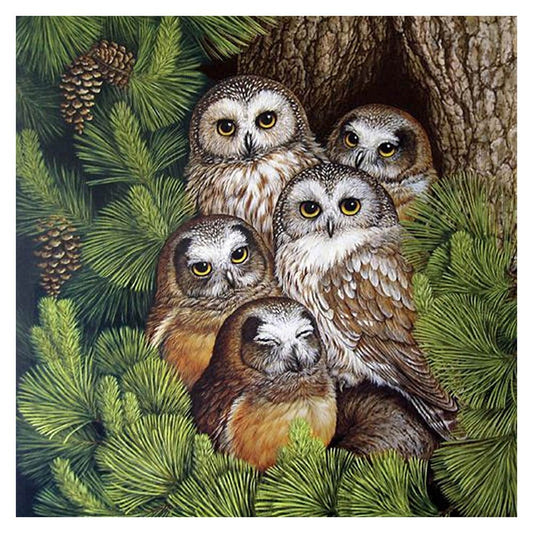 11ct Stamped Cross Stitch Owl Quilting Fabric (48*48cm)