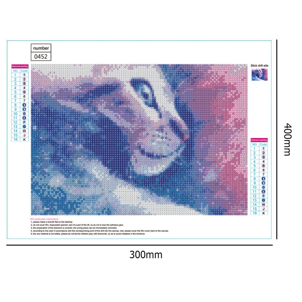 Kit de pintura diamante DIY 5D - redondo completo - gato B