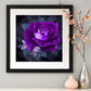 Diamond Painting kit - Partial Round - Purple Rose
