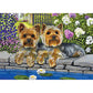 5D Diy Diamond Painting Kit Full Round Beads Flower Dogs