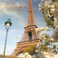 Diamond Painting Art Eiffel Tower and white flowers