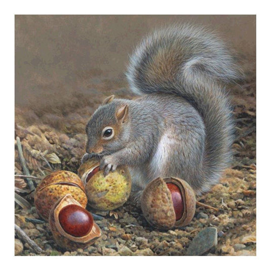 Diamond Painting - Full Round - Squirrel