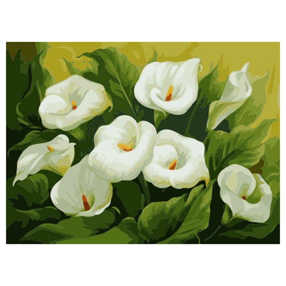 Paint By Number Oil Painting Flower (40*50cm)