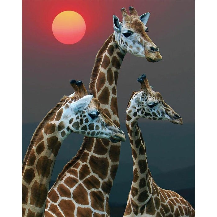 Painting By Numbers Kit DIY Giraffe Sun Hand Painted Canvas Oil Art Picture