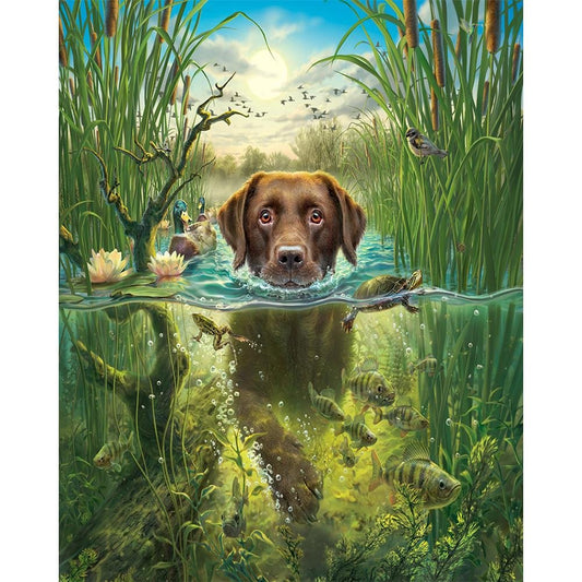 Paint By Number Oil Painting Swimming Dog (40*50cm)