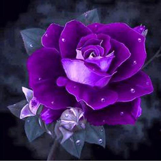 Diamond Painting Partial Round Purple Rose
