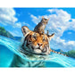 Swimming Tiger & Cat canvas paint by numbers (40*50cm)