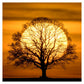 11ct Stamped Cross Stitch Sunset Tree (40*40cm)