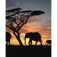 Paint By Number Oil Painting Sunset Elephant (40*50cm)