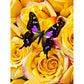 butterfly on yellow rose diamond painting