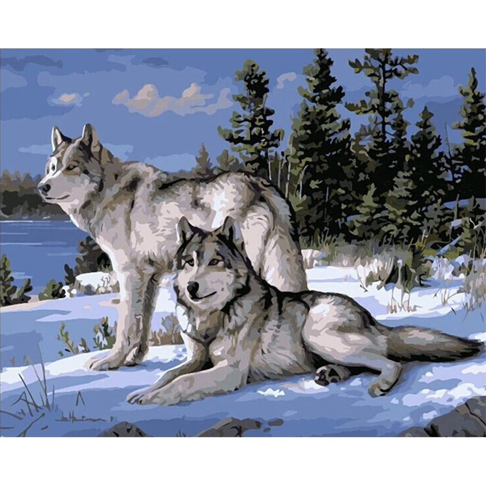 Paint By Number Oil Painting Snow Wolves (40*30cm)