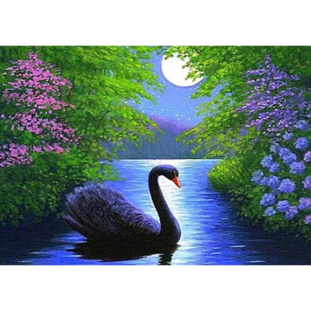 Diamond Painting - Full Round - Black Swan