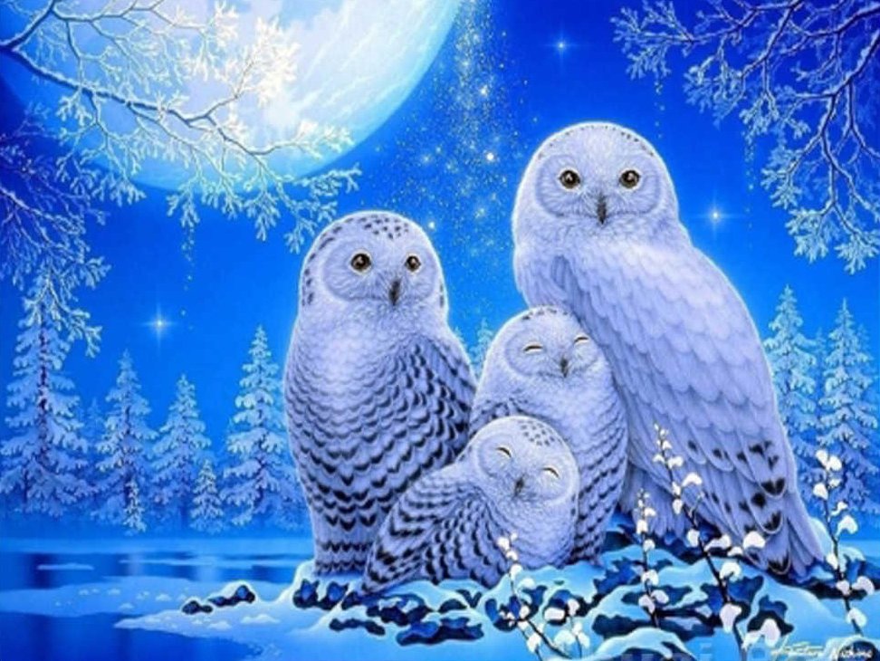 5D Diy Diamond Painting Kit Full Round Beads Snow Owls
