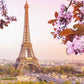 Diamond Painting Art Eiffel Tower and peach blossom
