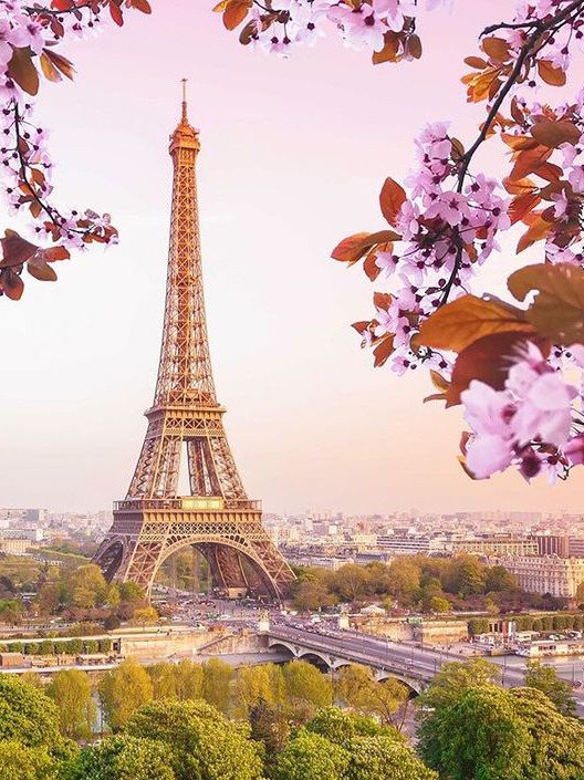 Diamond Painting Art Eiffel Tower and peach blossom