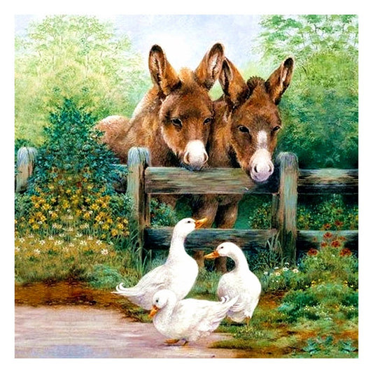 11ct Stamped Cross Stitch Pony And Goose (36*36cm)