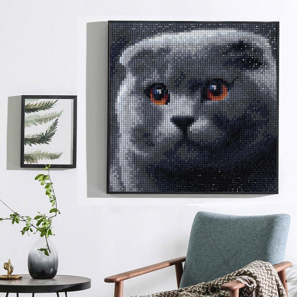 Kit de pintura de diamante DIY 5D - quadrado completo - gato cinza