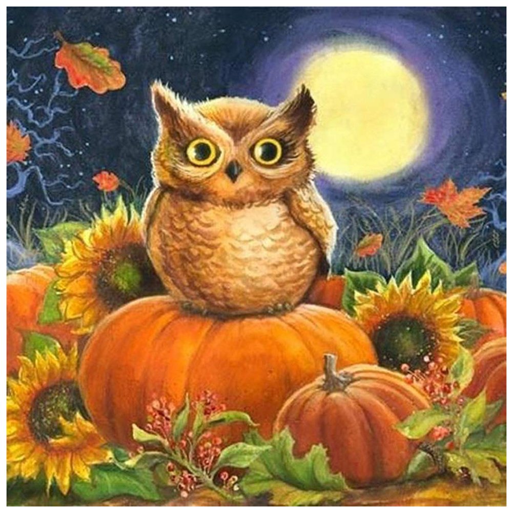 5D DIY Diamond Painting Kit - Full Round - Pumpkin Owl