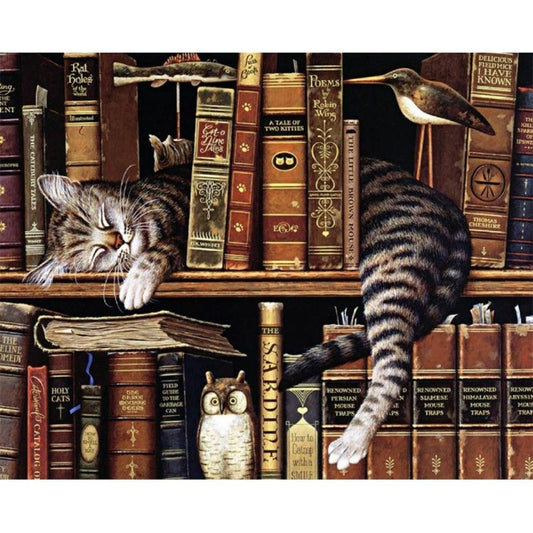 Painting By Numbers Kit DIY Cat Books Hand Painted Canvas Oil Art Picture 