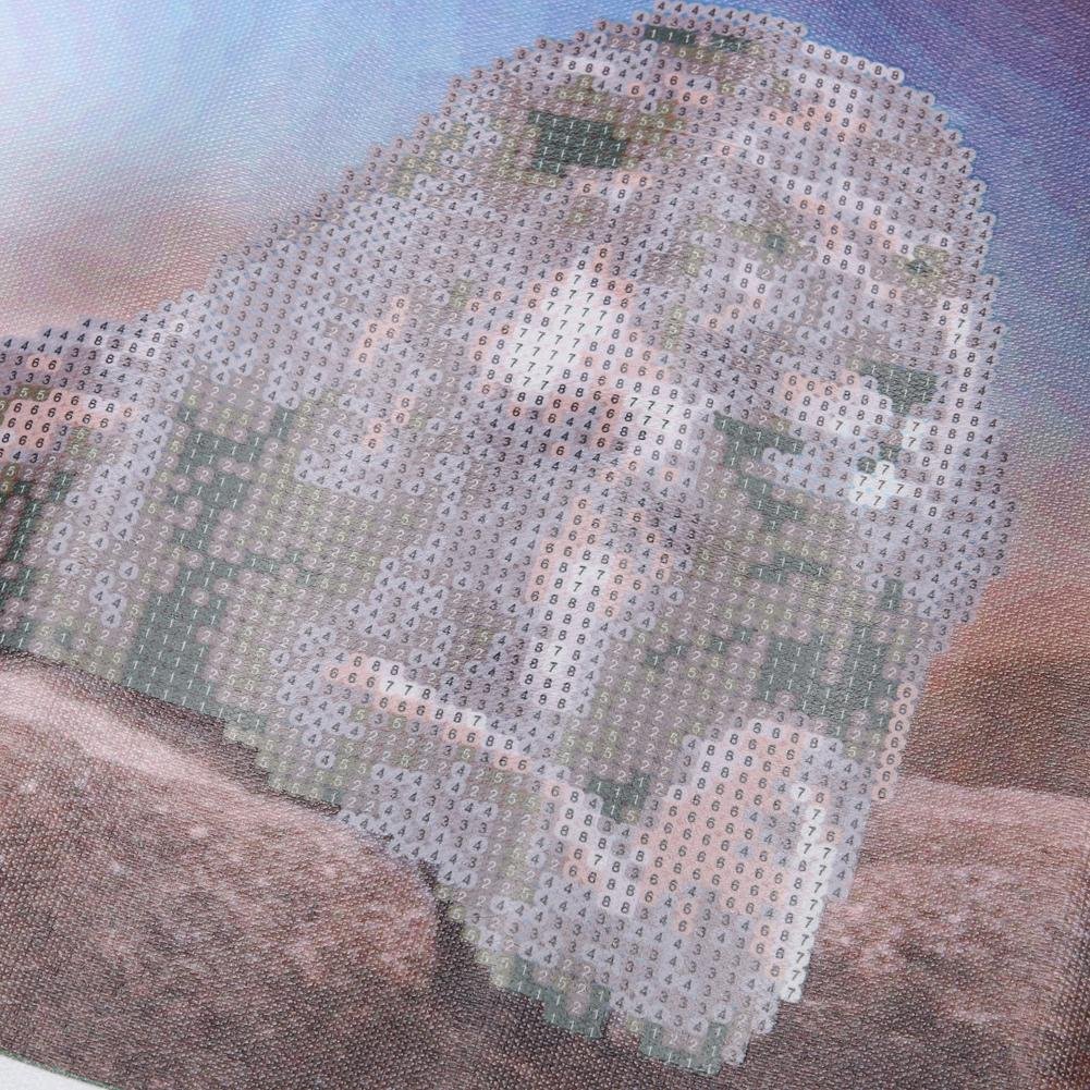 Pintura de diamante - Ronda parcial - León