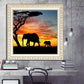 African Elephant Full Square Diamond Painting Kits
