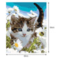 Cat In The Flower DIY Acrylic Paints By Numbers Canvas Size