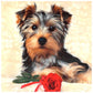 Diamond Painting - Full Round - Dog 11