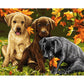 Leaves Dogs canvas paint by numbers (40*50cm)