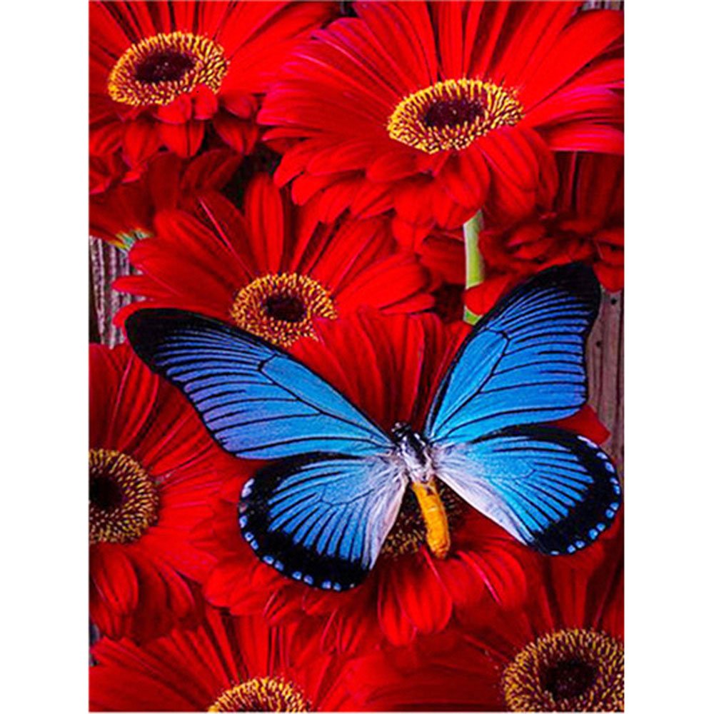 spring diamond painting blue butterfly on red flower 