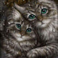 Pintura de diamantes - Ronda completa - Gatos lluviosos