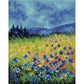 14ct Stamped Cross Stitch Colorful Mountain Flower (30*26cm)