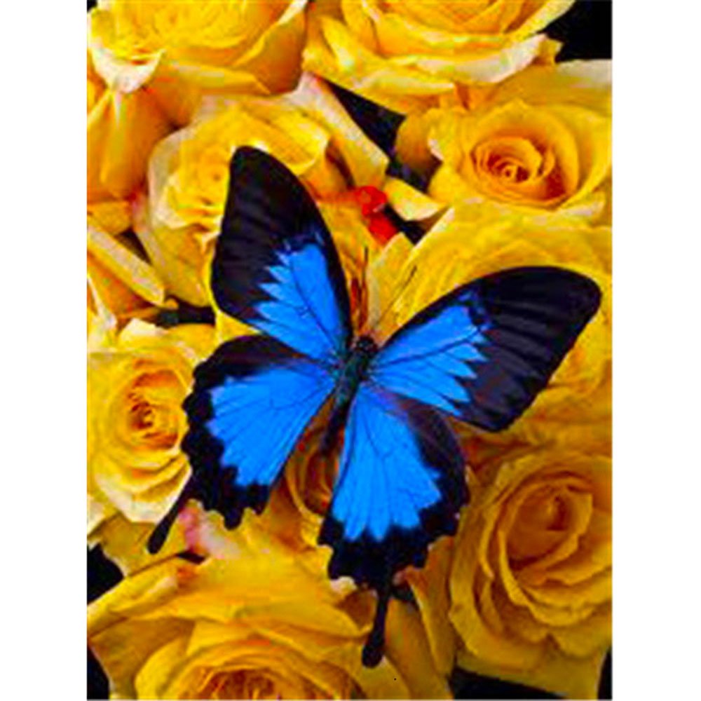 butterfly on yellow flower diamond painting