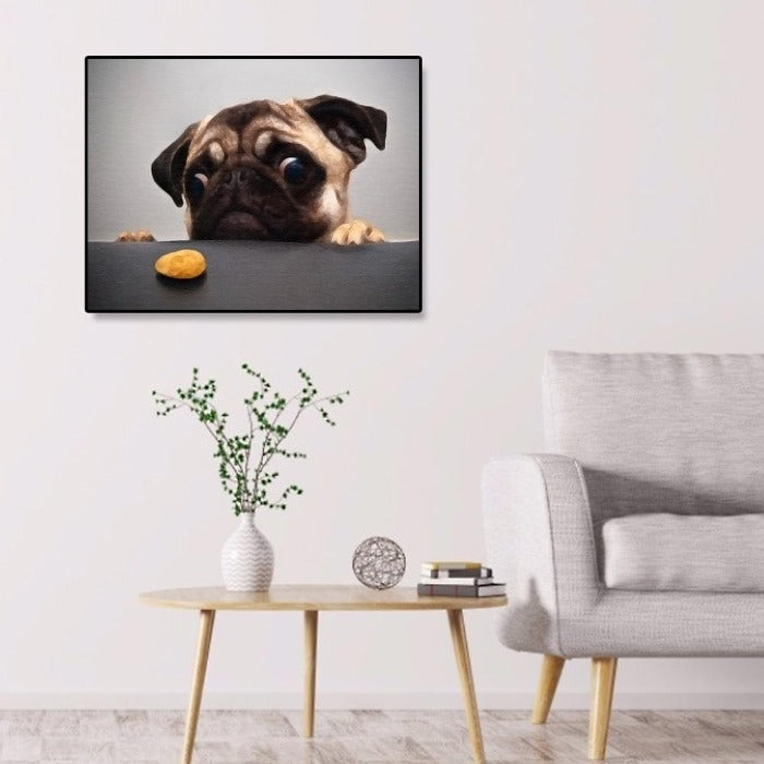 Frightened Dog Oil Painting By Number Picture Acrylic Canvas Wall Art Craft