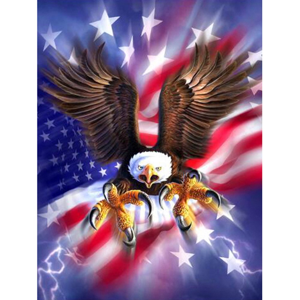 Eagle/Flag Framed outlet 5D Diamond Painting