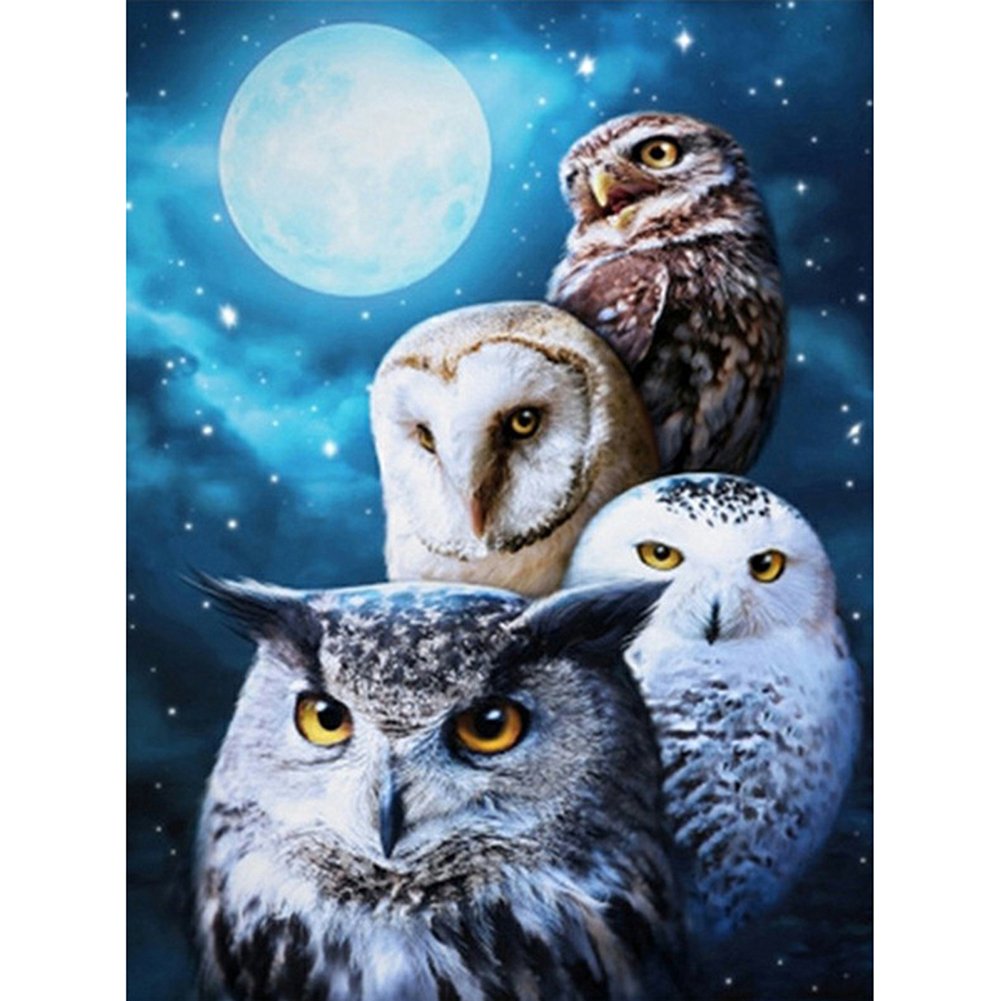 5D Diy Diamond Painting Kit Full Round Beads Owl