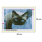 5D DIY Diamond Painting Kit - Full Round - Blue Eye Cat