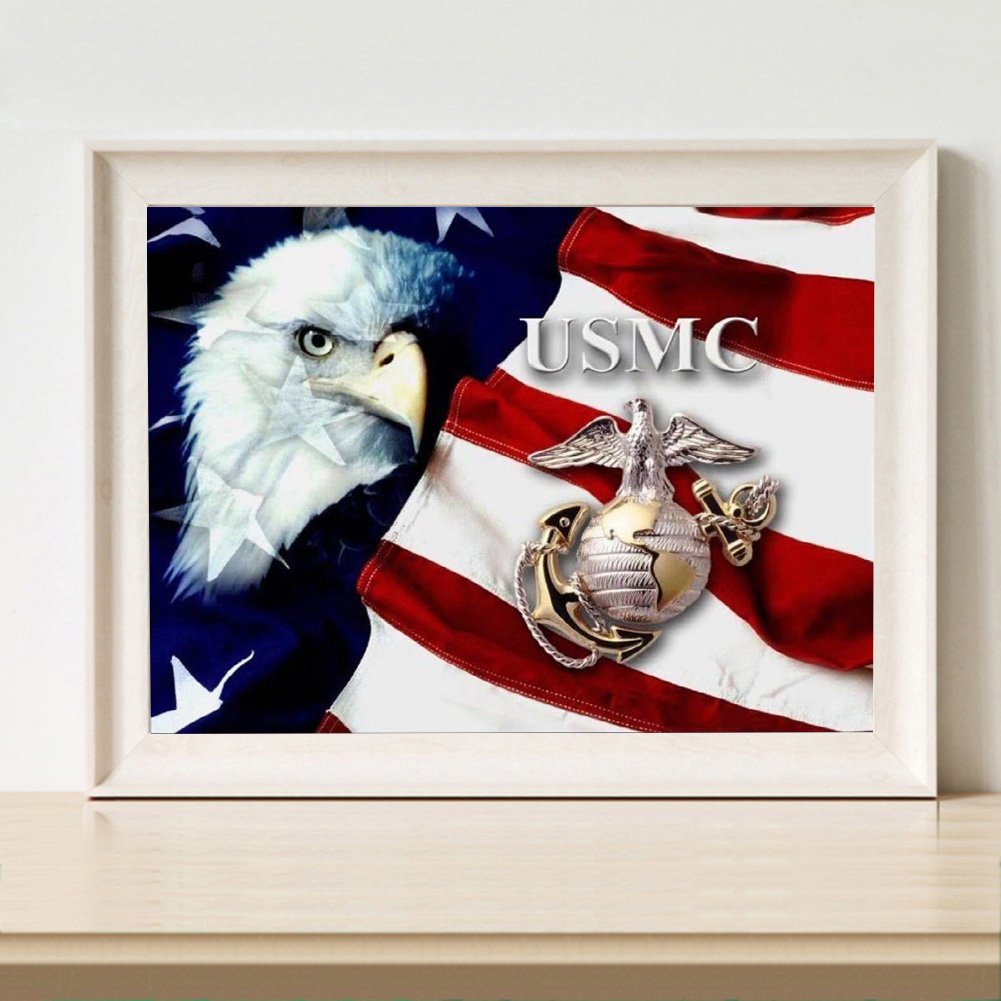Pintura Diamante - Rodada Completa - Águia da Bandeira dos EUA