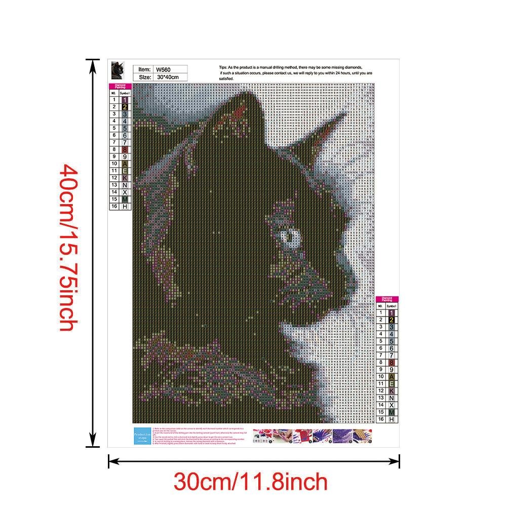 Kit de pintura de diamante 5D DIY - Ronda completa - Gato negro A