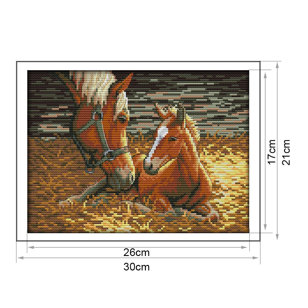 14ct Estampado Ponto Cruz - Cavalo (30*21cm)