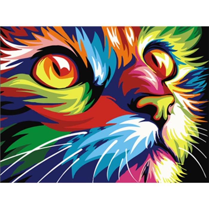 Paint By Number Oil Painting Colorful Cat (40*50cm)