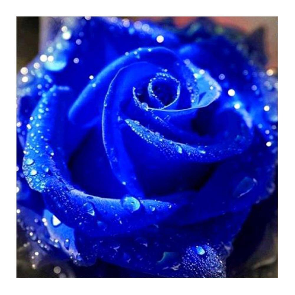 Diamond Painting - Full Round - Blue Rose